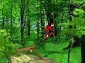 Mountain Bike, et mängida online