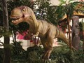 Dinosaurs ja mootorrattad, et mängida online