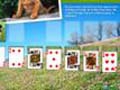 Animal Planet Solitaire, et mängida online